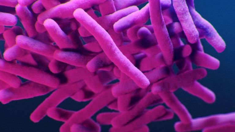 Ilustración de la bacteria resistente a los medicamentos, Mycobacterium tuberculosis.