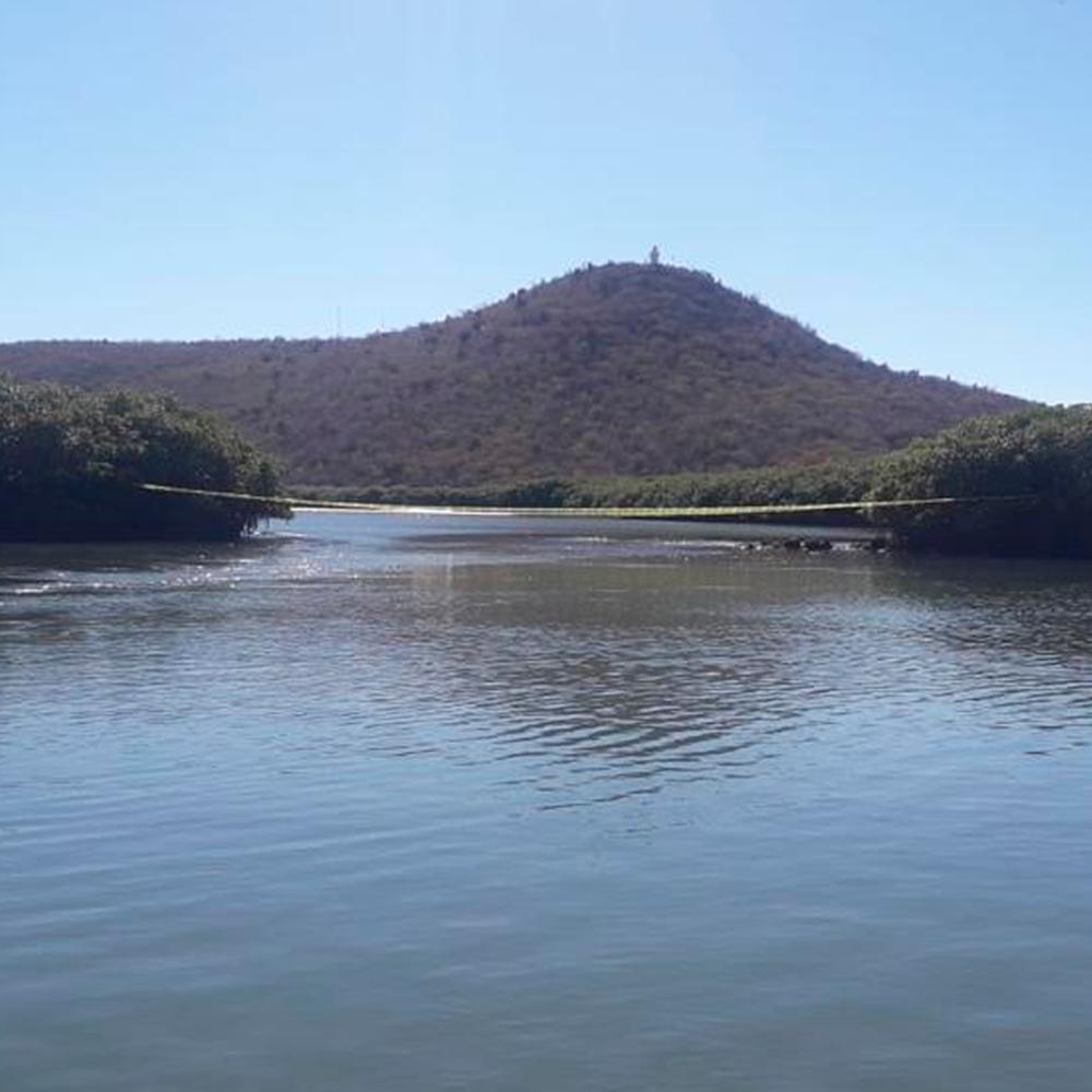 $!Confirman autoridades heridas del ‘Pechocho’, permanecerá aislado