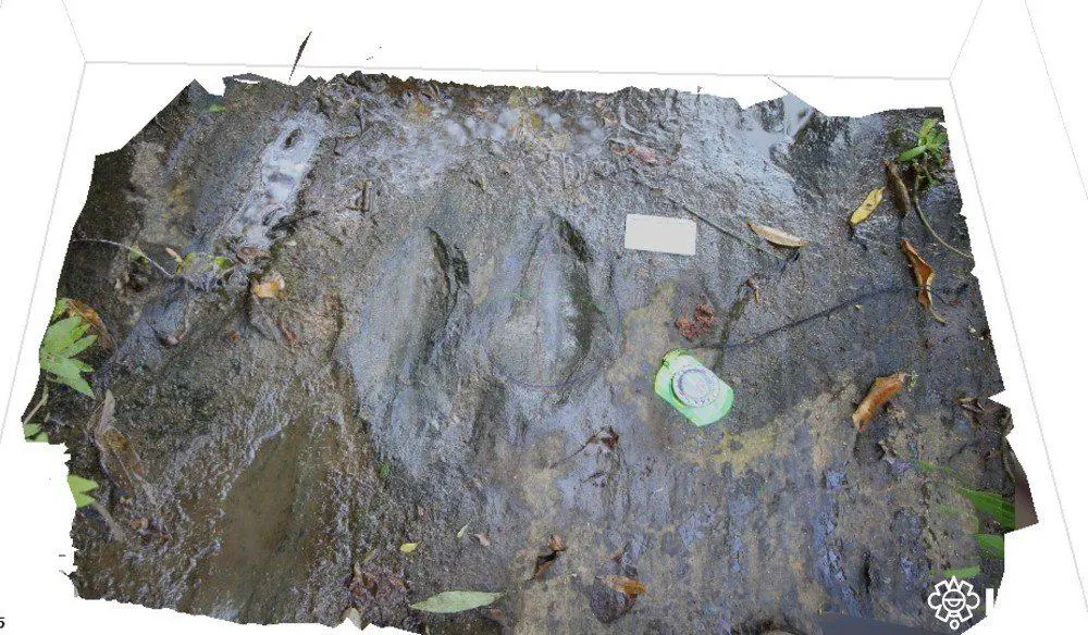 $!Descubren 50 huellas de dinosaurios en Apatzingán, Michoacán