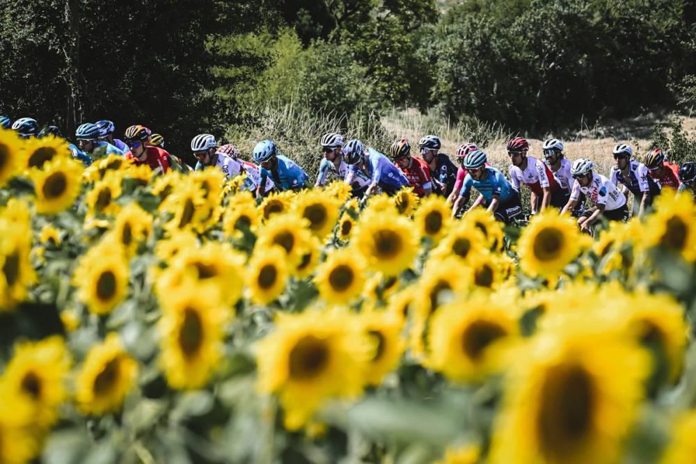 $!Belga Jasper Philipsen se impone en el sprint de la etapa 15 del Tour de Francia