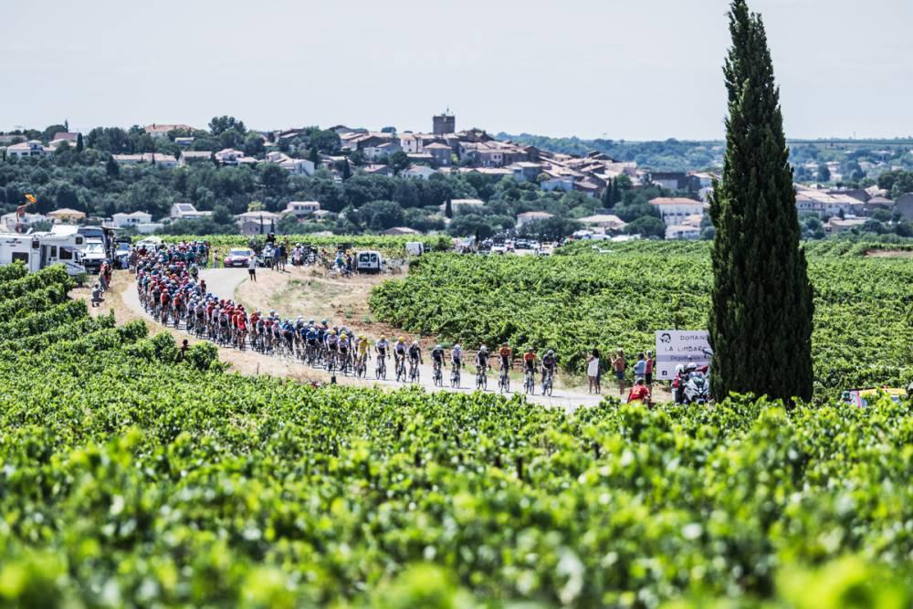 $!Philipsen gana la etapa 16 del Tour de Francia; Pogacar mantiene el liderato
