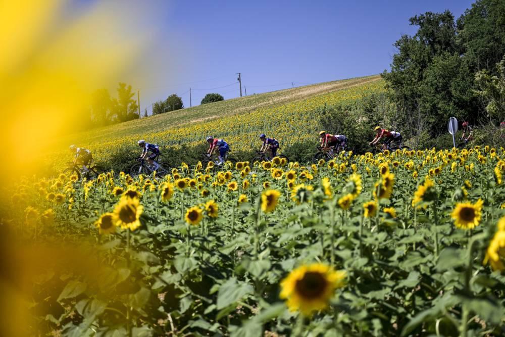 $!Jonas Abrahamsen conquista Toulouse en una etapa 11 frenética marcada por ataques, fugas y la caída de Pogacar