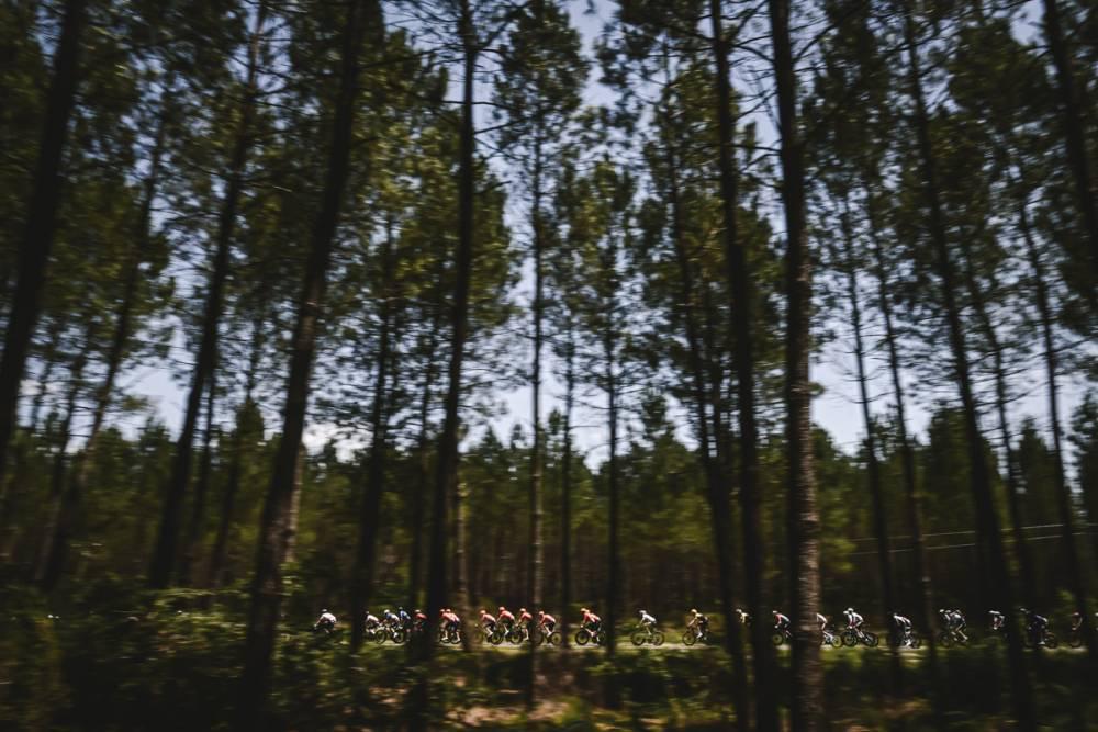 $!Philipsen, con un triplete en el Tour de Francia, impide récord de Cavendish