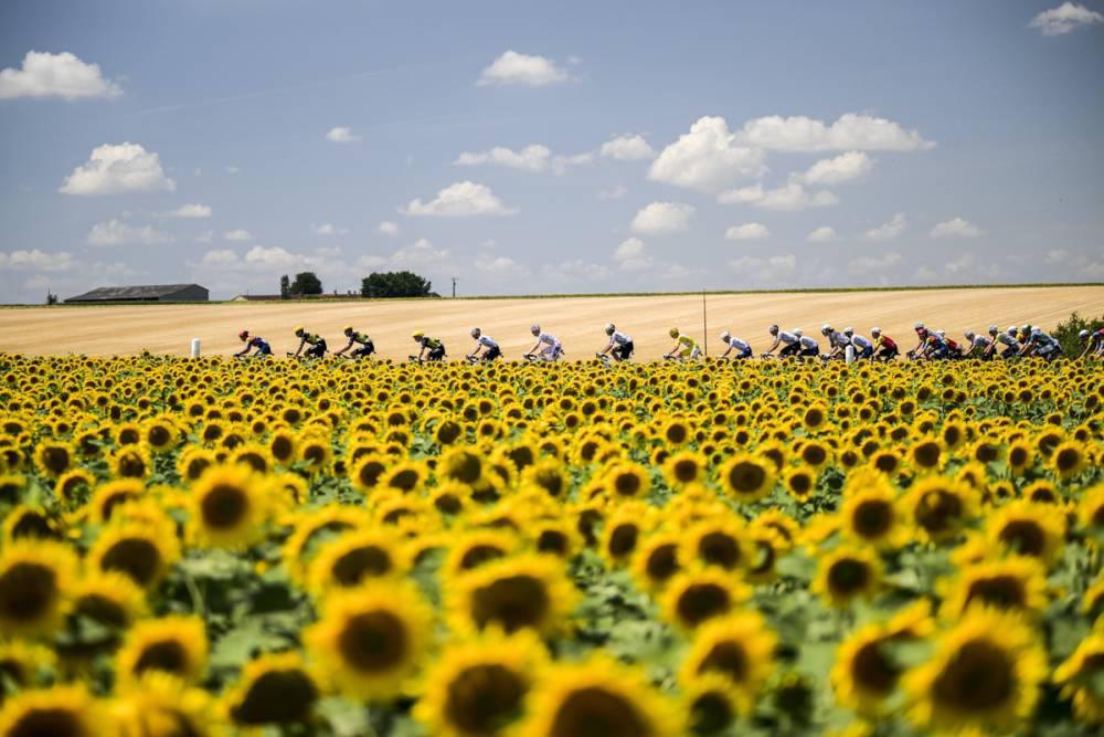 $!Tim Merlier gana en Châteauroux y Van der Poel roza la hazaña en la etapa 9 del Tour de Francia