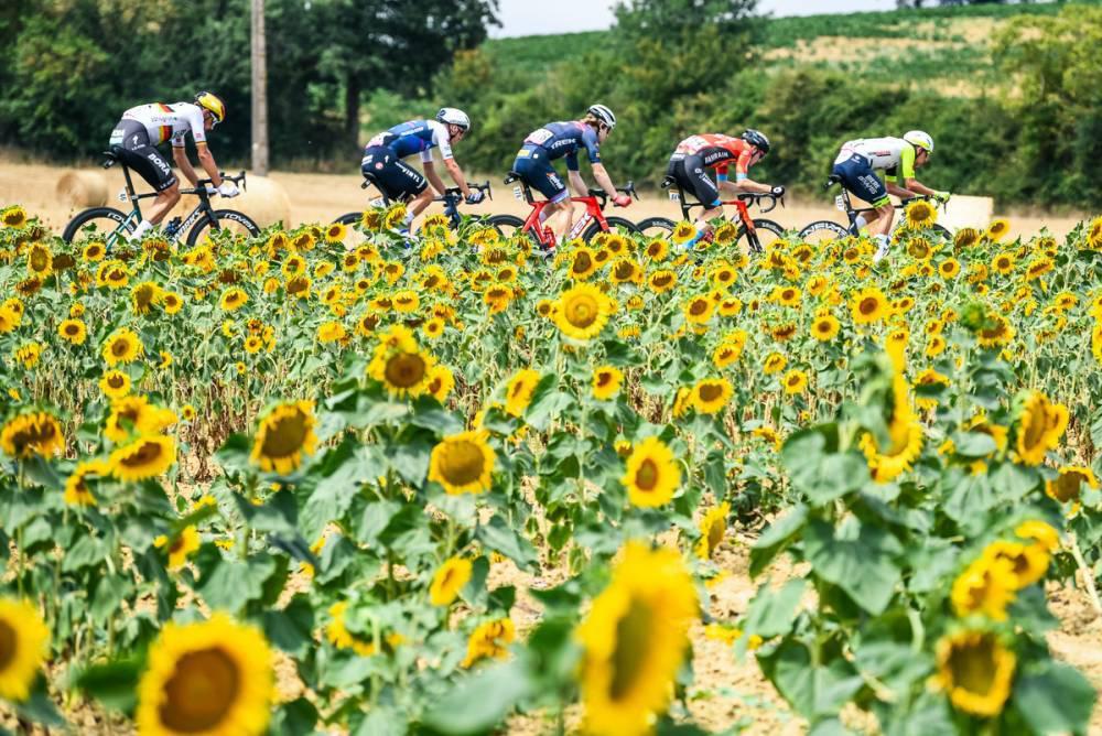 $!Christophe Laporte sorprende a los sprinters y gana etapa 19 del Tour de Francia