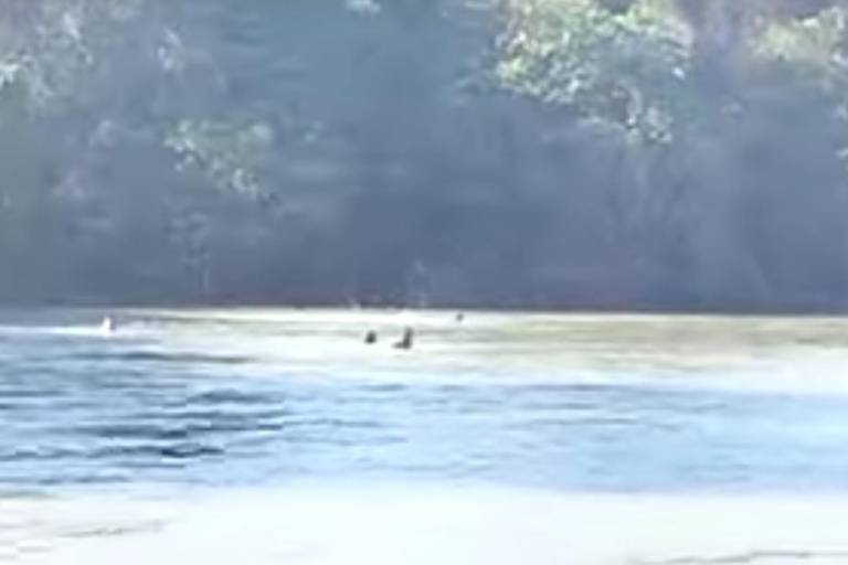 Rescatan a hombre en el río de Sanalona, en Culiacán