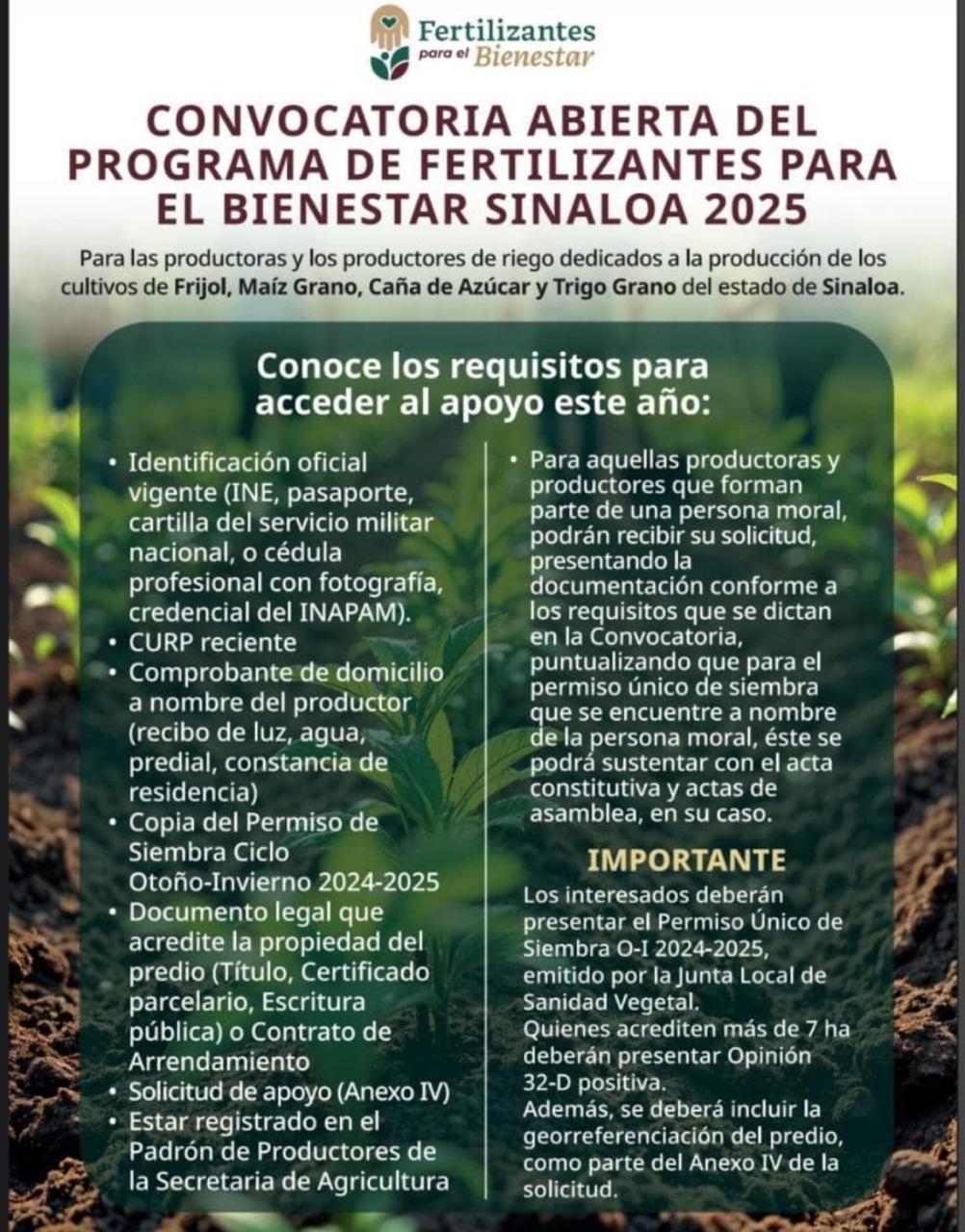 $!Publican convocatoria para nuevo ingreso a programa ‘Fertilizantes para el Bienestar’ en Sinaloa