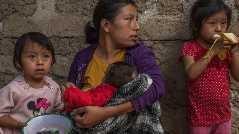 Revela la FAO que el 6.5% de la población de América Latina y el Caribe sufre hambre