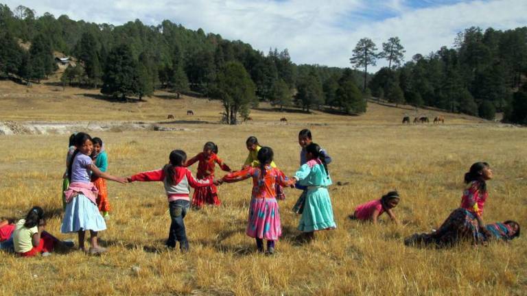 Alianza Sierra Madre protege a las comunidades tarahumaras en México