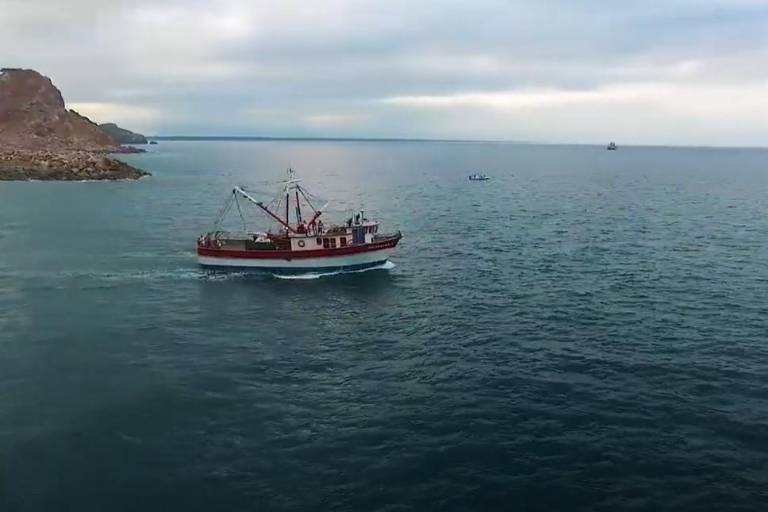 Este domingo 6 de abril inicia la veda del camarón en el Océano Pacífico