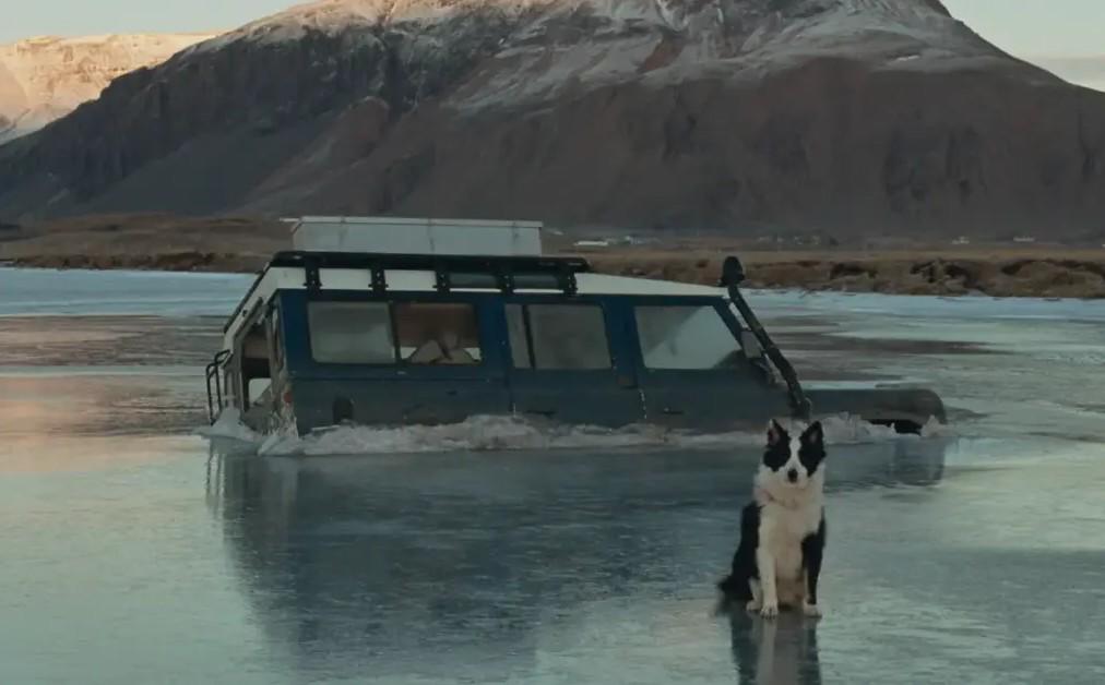 $!La película recibió el premio Palm Dog en Cannes por la mejor interpretación perruna del año.