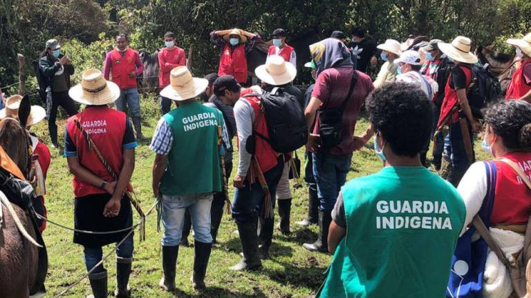 Ex combatientes de las FARC restauran un terreno minado para víctimas e indígenas