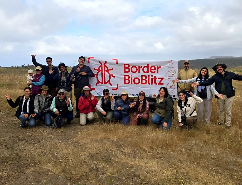 $!En el nodo del Border BioBlitz en Rancho Bonito, Ensenada, México, participaron organizaciones como Fauna del Noroeste y el Programa de Aves Urbanas (PAU) Ensenada, la investigadora Mariana Delgado, estudiantes de la Universidad Autónoma de Baja California (UABC) y habitantes de las comunidades aledañas.