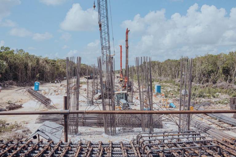 Organizaciones denuncian que obras del Tren Maya han deforestado hasta el momento 6,659 hectáreas