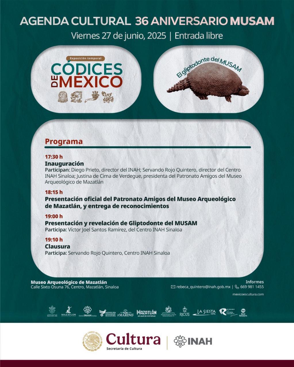 $!Fósiles de armadillo prehistórico estarán en el Museo Arqueológico de Mazatlán