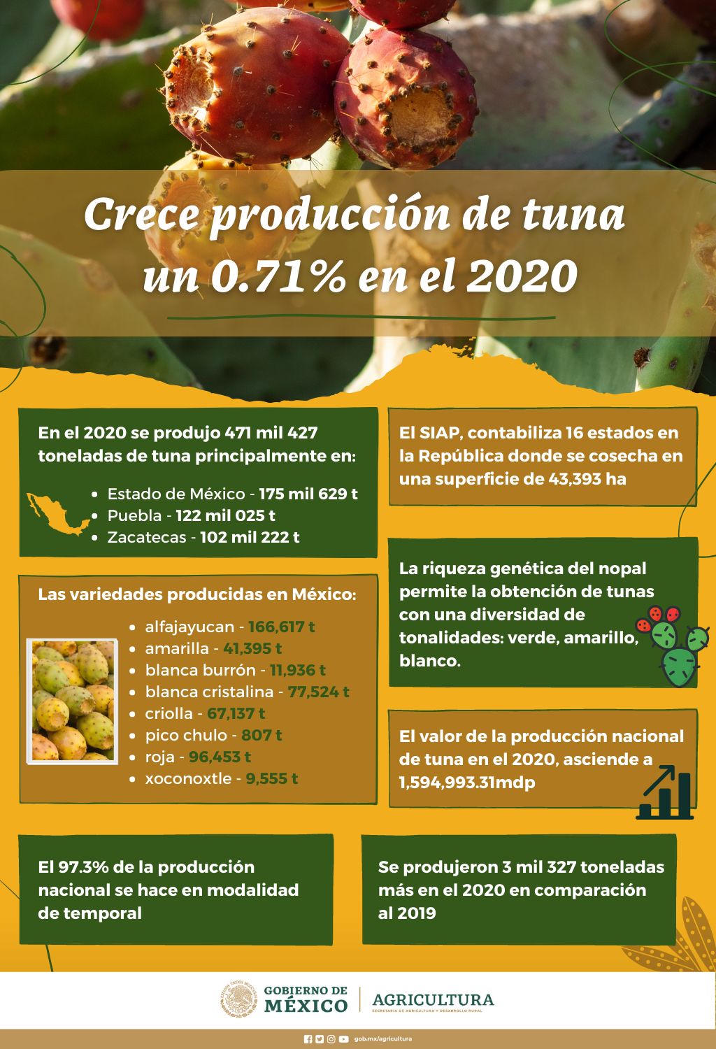 $!Inicia temporada de tuna mexicana