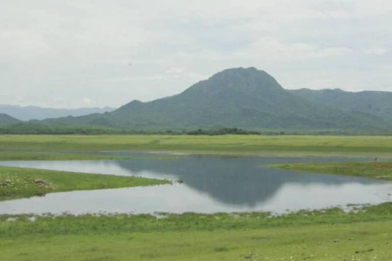 Vergonzoso que ciudadanía no respete Narnia, señalan desde el Congreso