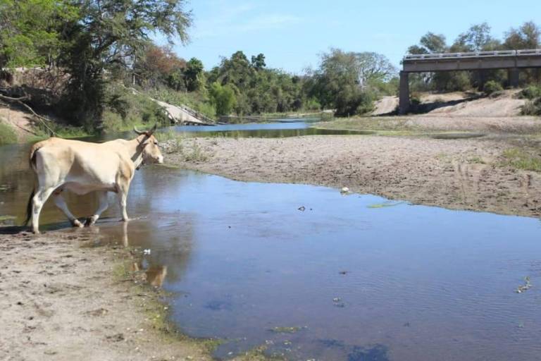Nueve meses después, inicia la reconstrucción del puente de El Quelite