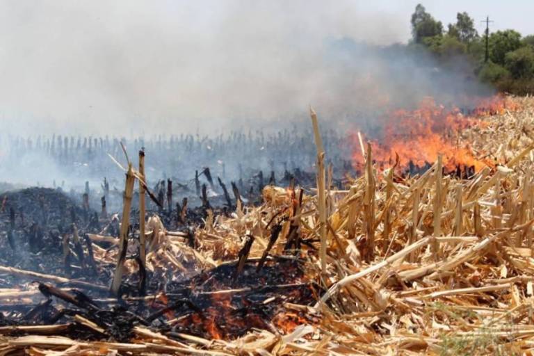 Procuraduría Ambiental de Sinaloa no saldrá en esta legislatura, explica Diputado