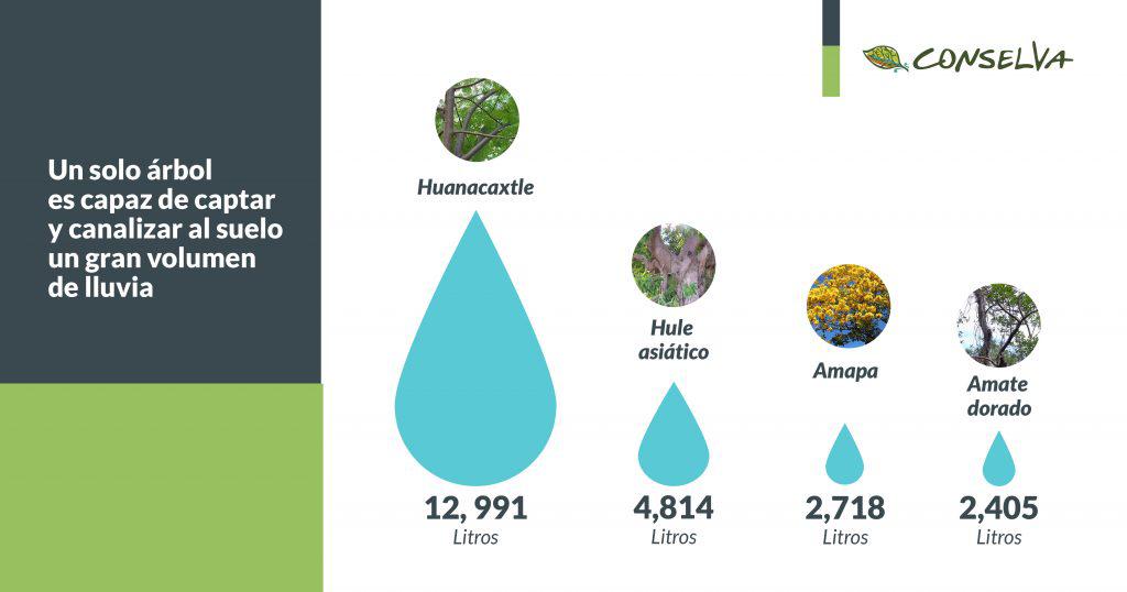 $!Escasez de agua: ¿Por qué las cuencas son la respuesta ante la crisis en Sinaloa?