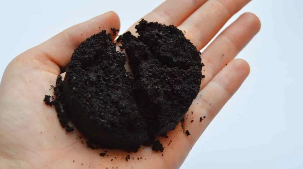 $!Propone investigador de la UAS el bagazo de café como alternativa económica y sana al chocolate