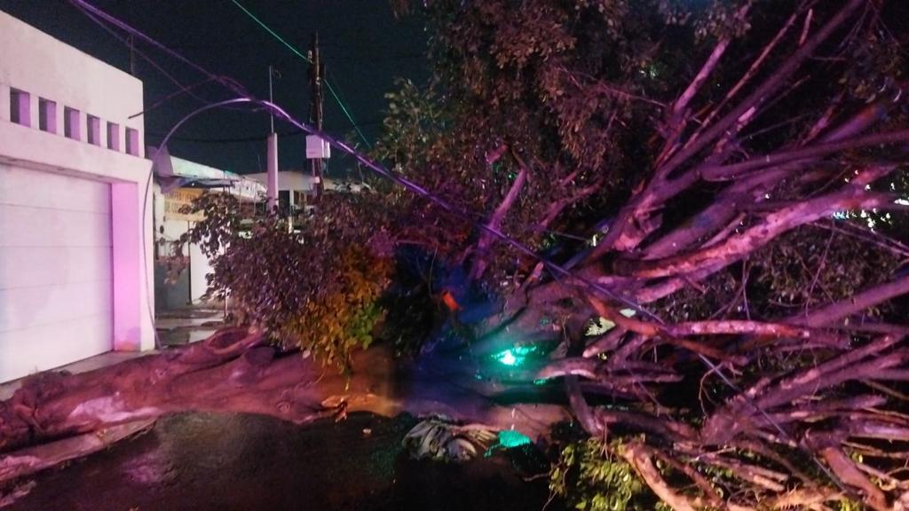 $!Lluvia deja seis carros varados, postes y árboles caídos en Culiacán