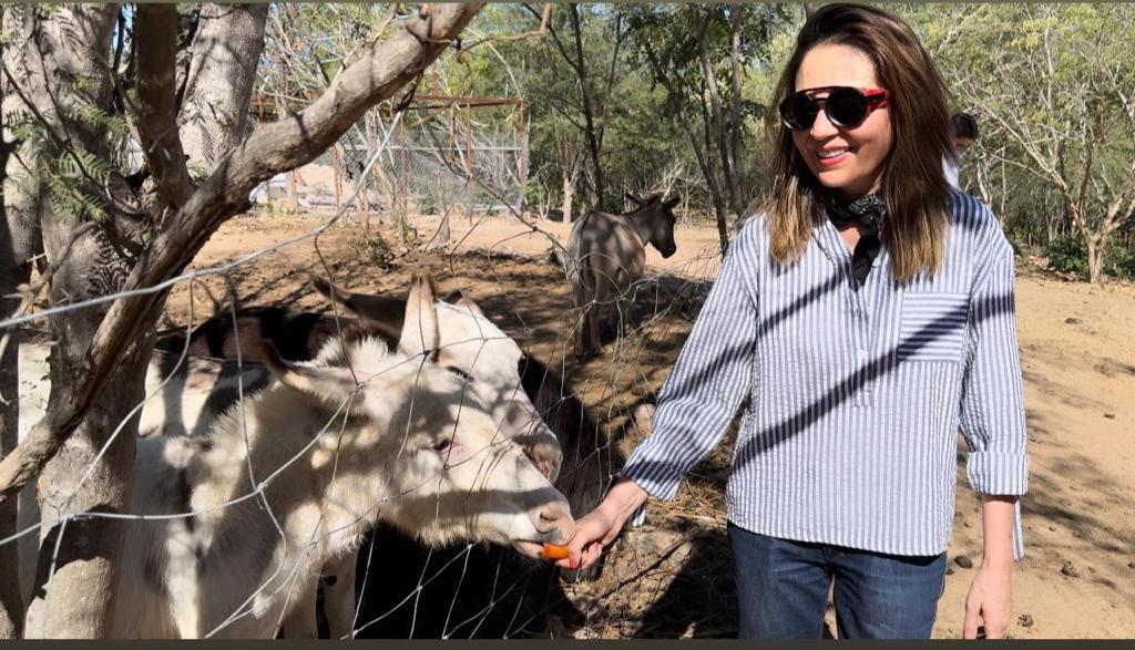 $!La conductora y productora recorre las instalaciones del santuario animal.
