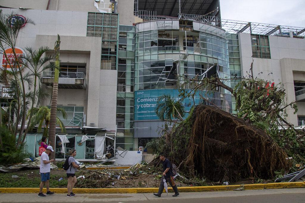 $!Muchos árboles fueron arrancados por la fuerza de los vientos del huracán Otis en Acapulco.
