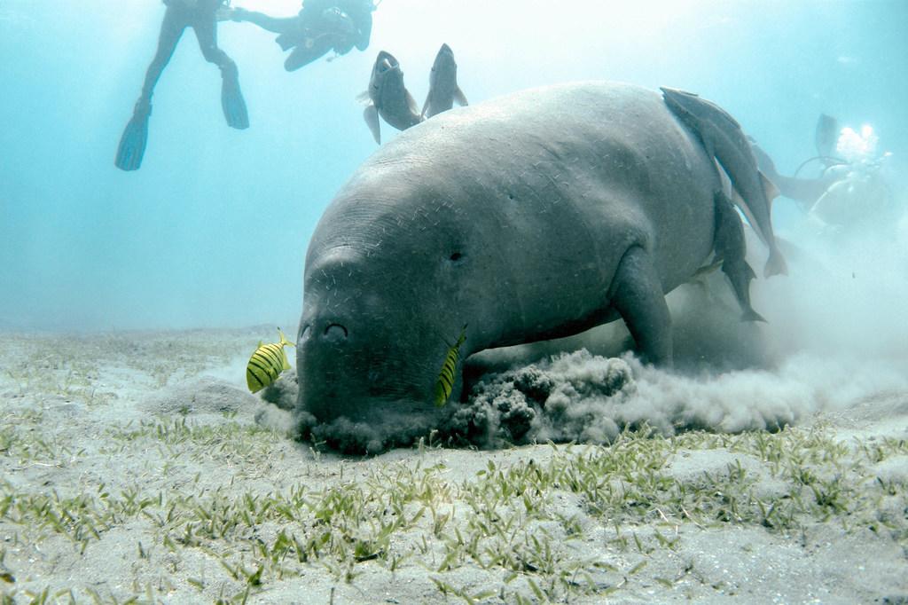 $!Llaman a la acción para afrontar el cambio climático, la pérdida de biodiversidad, la contaminación y los residuos