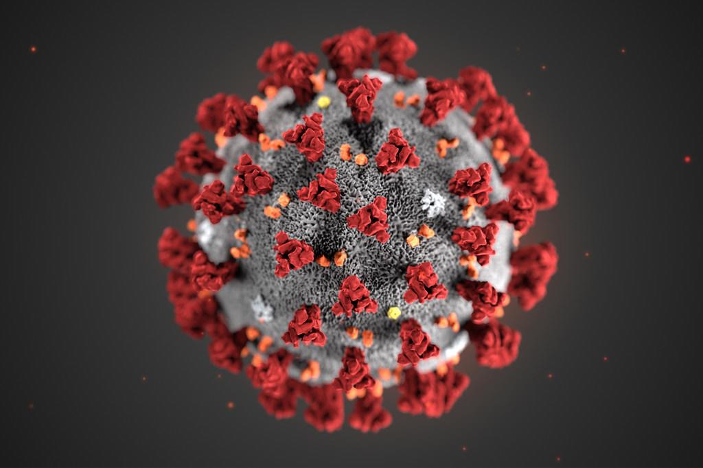 $!Una ilustración digital del coronavirus muestra la forma de corona que le da su nombre.