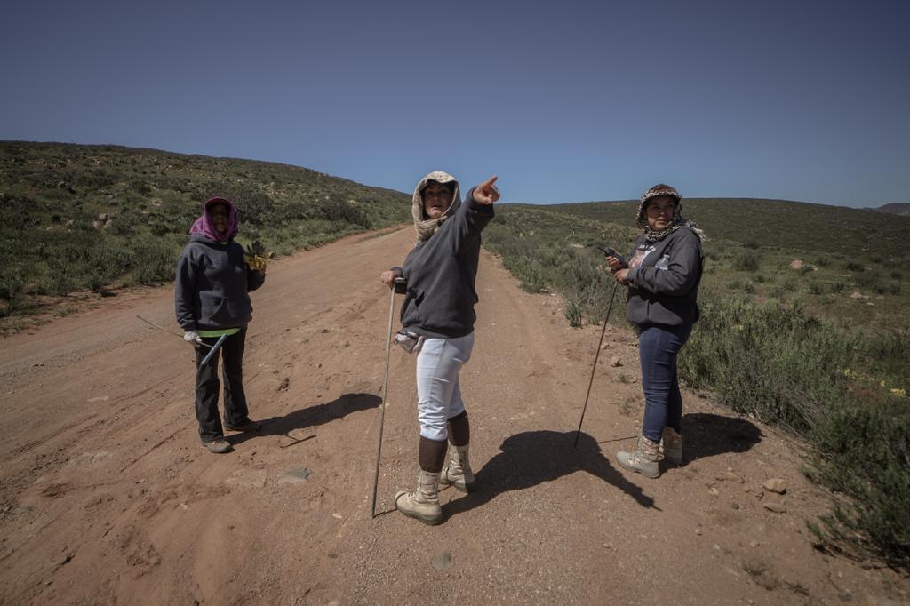 $!Gobierno de BC compra equipo para búsqueda de desaparecidos a sobreprecio