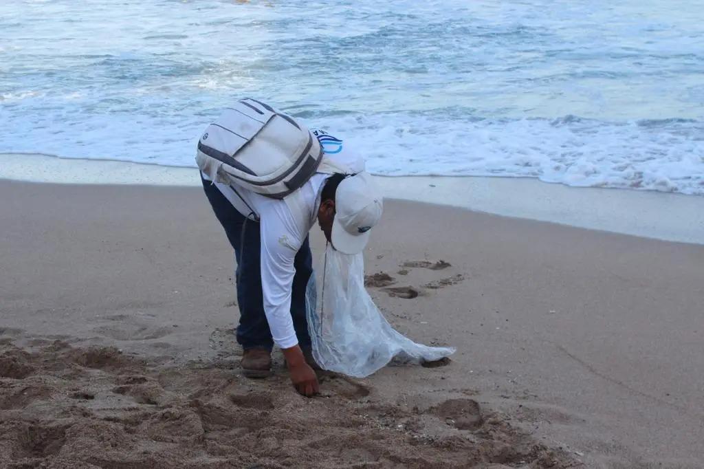 $!Si perdemos la lucha ambiental, ninguna otra lucha tendrá sentido, alerta MazConciencia