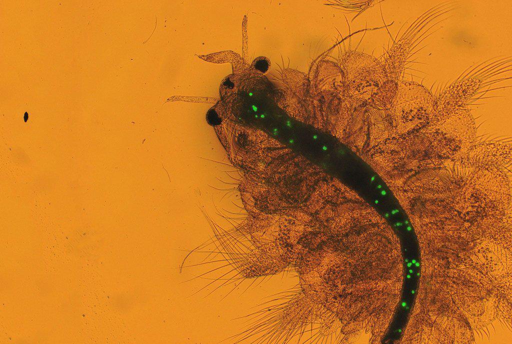 $!Llaman a la acción para afrontar el cambio climático, la pérdida de biodiversidad, la contaminación y los residuos