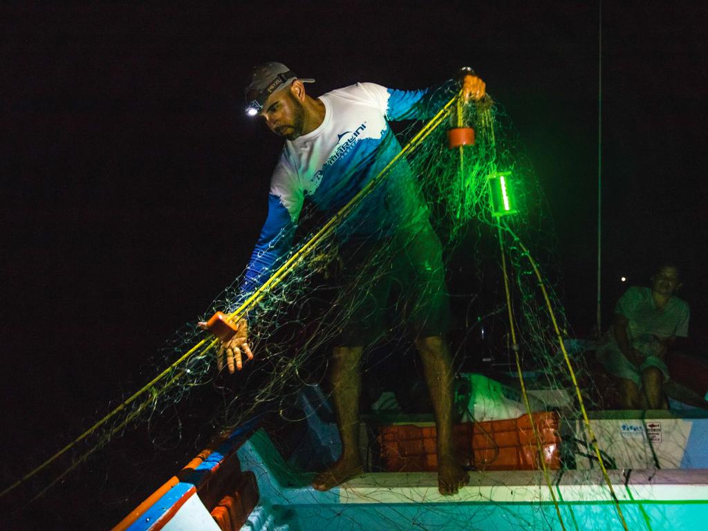 $!Conoce la tres iniciativas para mitigar la captura incidental de la tortuga marina