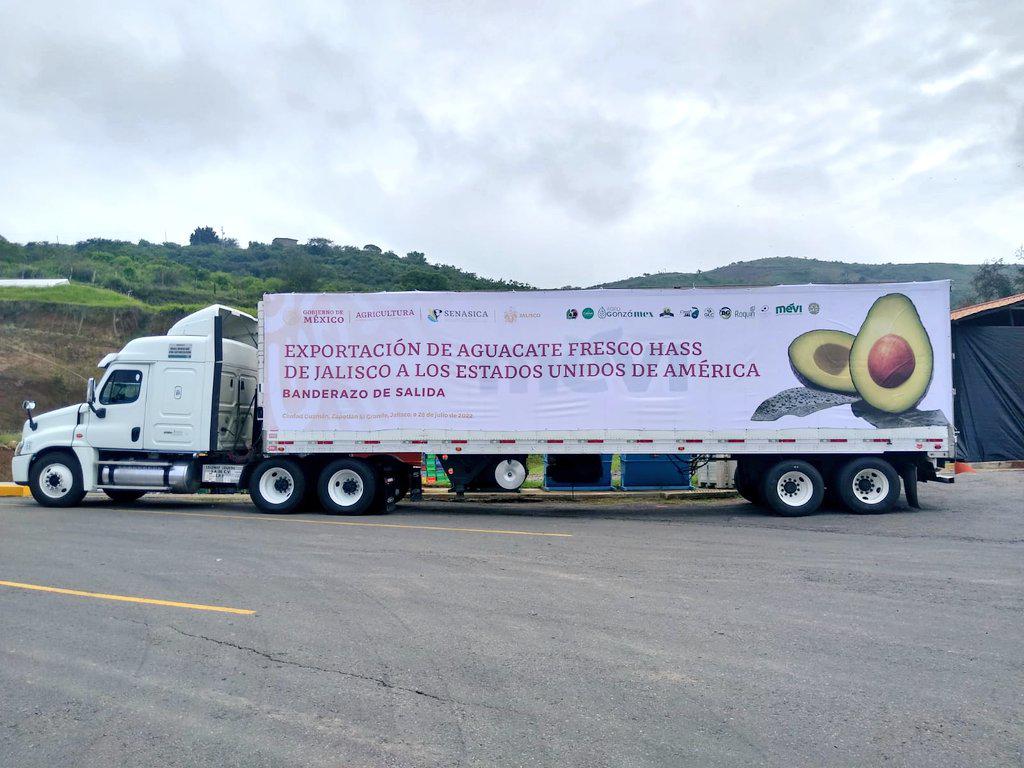 $!Inicia exportación de aguacate Hass de Jalisco a Estados Unidos