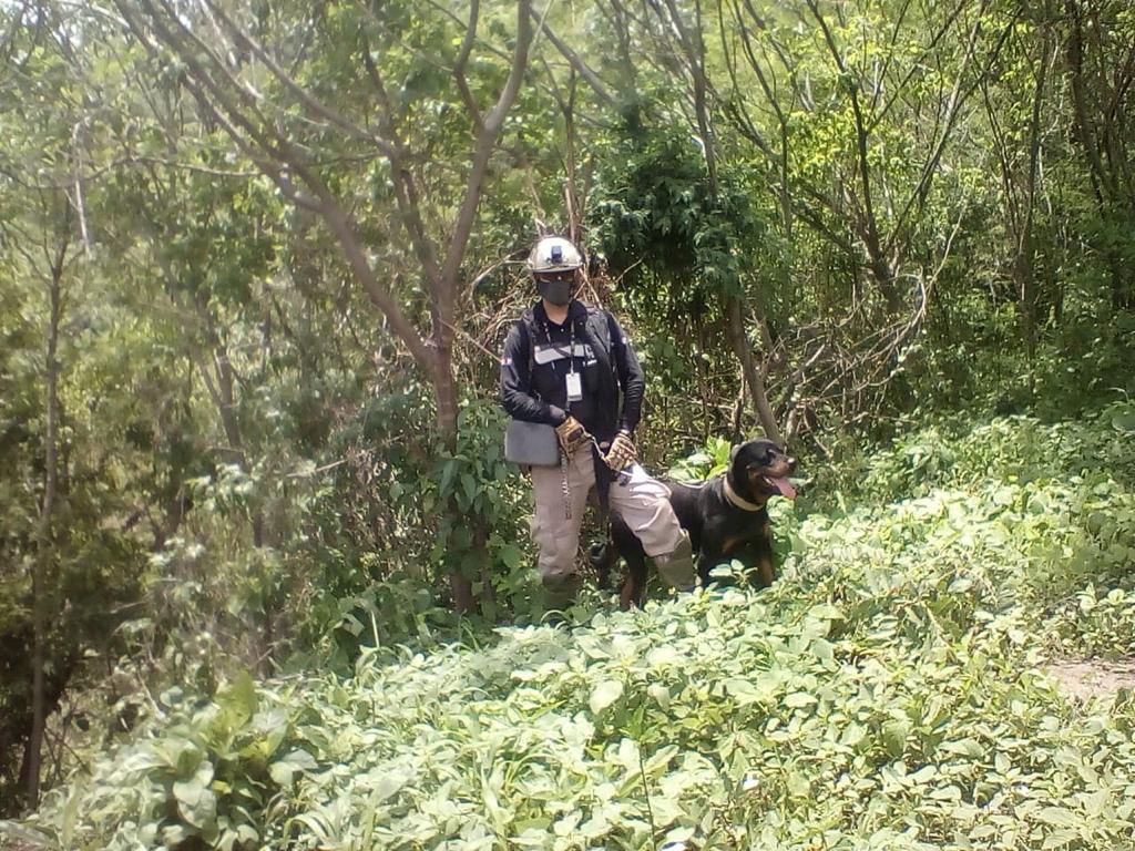 $!Pobladores de las comunidades cercanas a la mina Peña Colorada señalan que son intimidados por policías privados que van acompañados de perros de ataque.