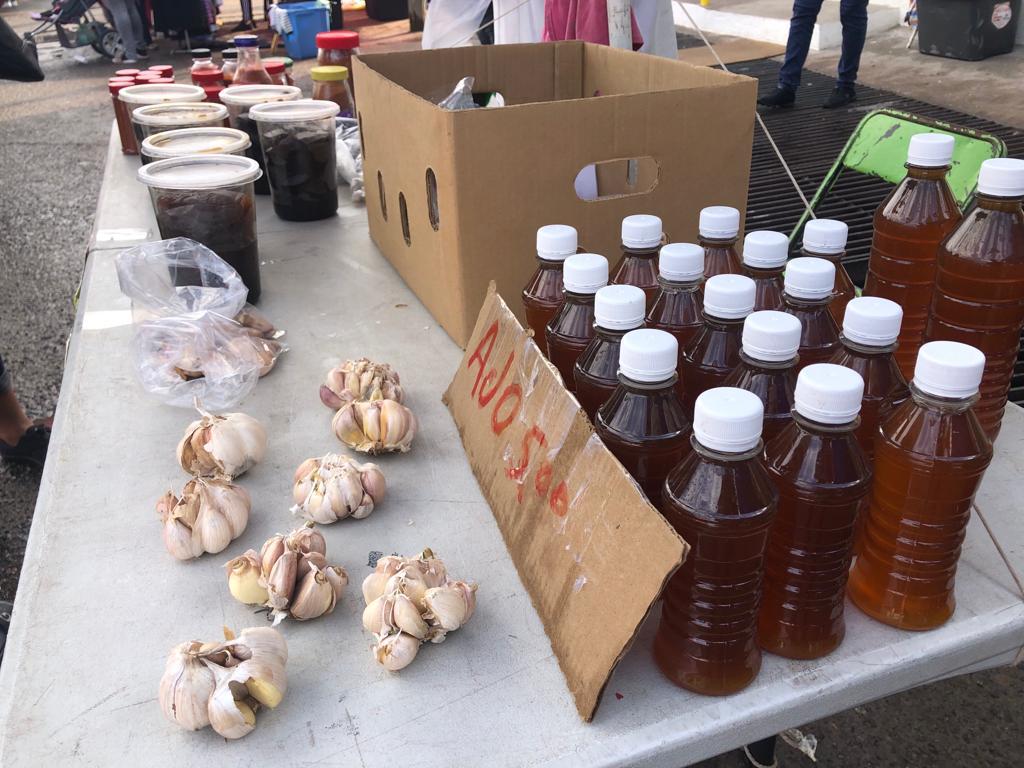 $!Foto: Noroeste/Manuela Bustamante