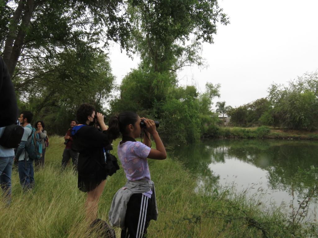 $!Sinaloa destaca en el Reto Naturalista 2022; Mazatlán y Culiacán, en primeros lugares