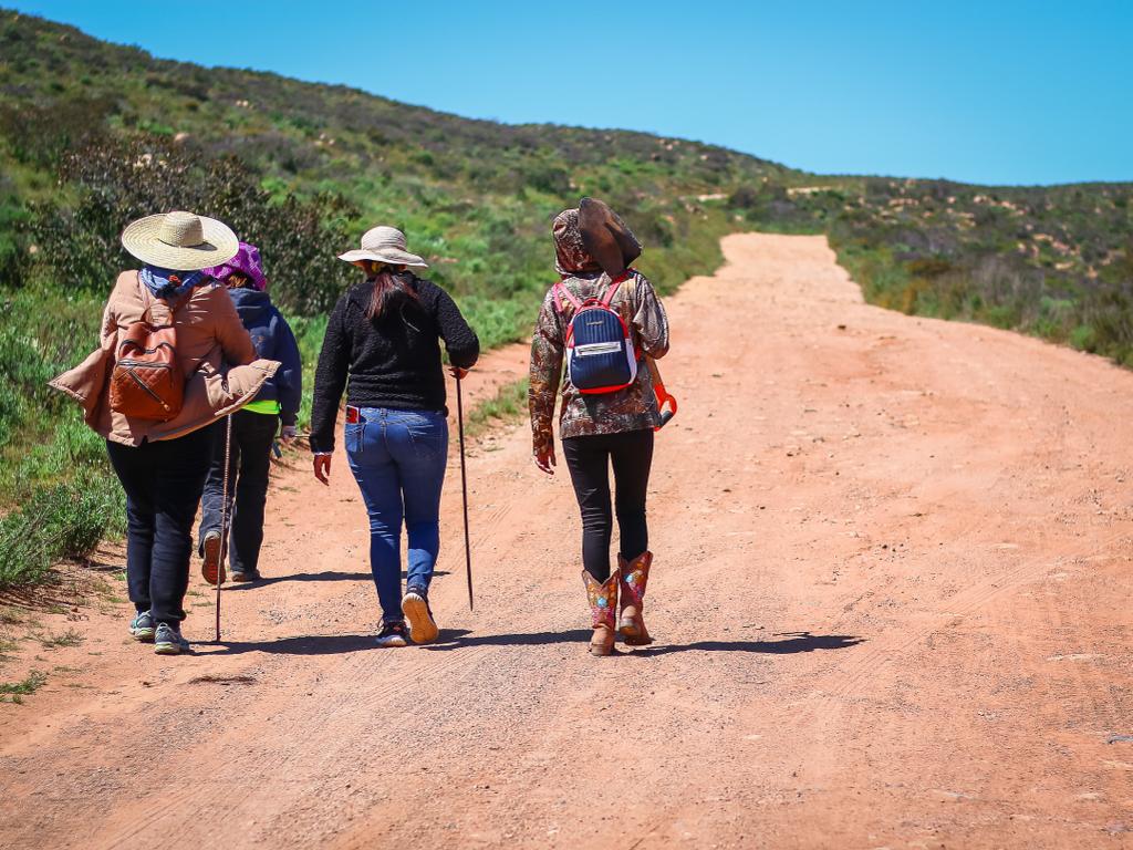 $!Gobierno de BC compra equipo para búsqueda de desaparecidos a sobreprecio