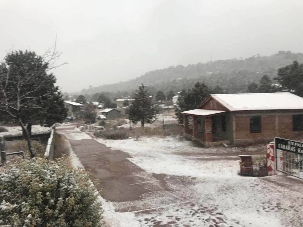 $!Cae nieve entre los límites con Durango; en Sinaloa, solo llovizna