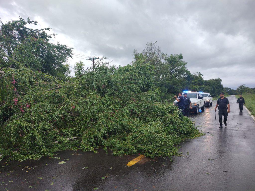 $!Sube a tres los muertos en Nayarit por el paso del huracán Roslyn; además de cuantiosos daños