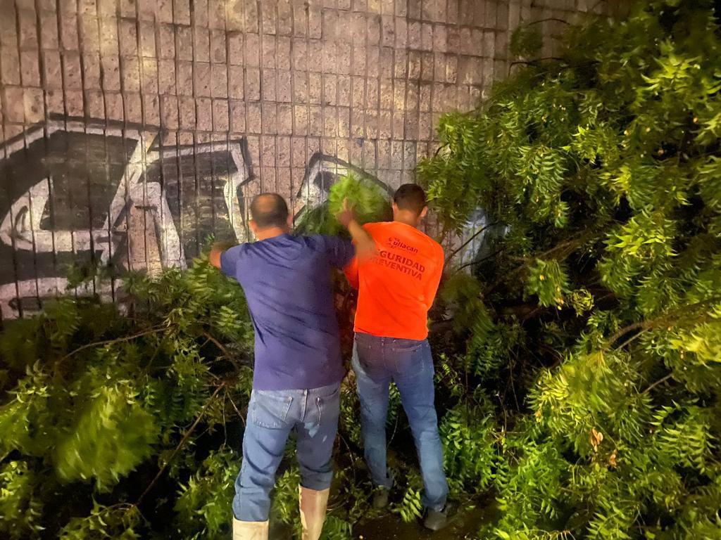 $!Lluvia deja seis carros varados, postes y árboles caídos en Culiacán