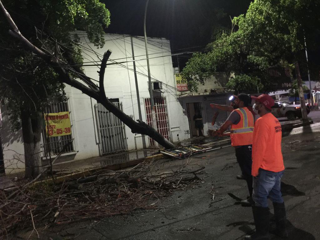 $!Suman Comuna más de 150 reportes de árboles y mil alcantarillas tapadas por las lluvias, en Culiacán