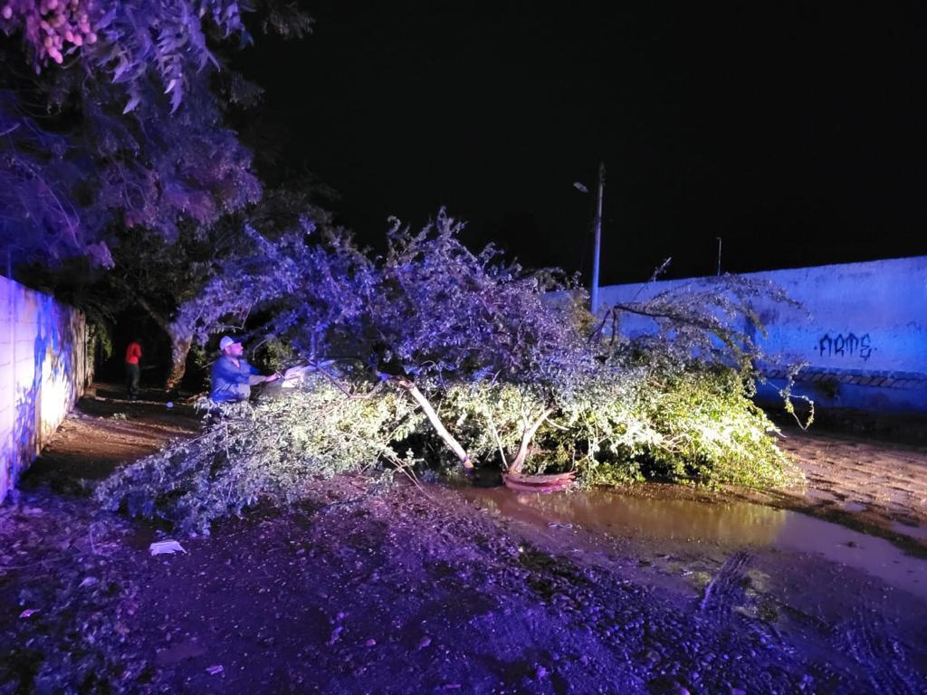 $!Lluvia deja seis carros varados, postes y árboles caídos en Culiacán