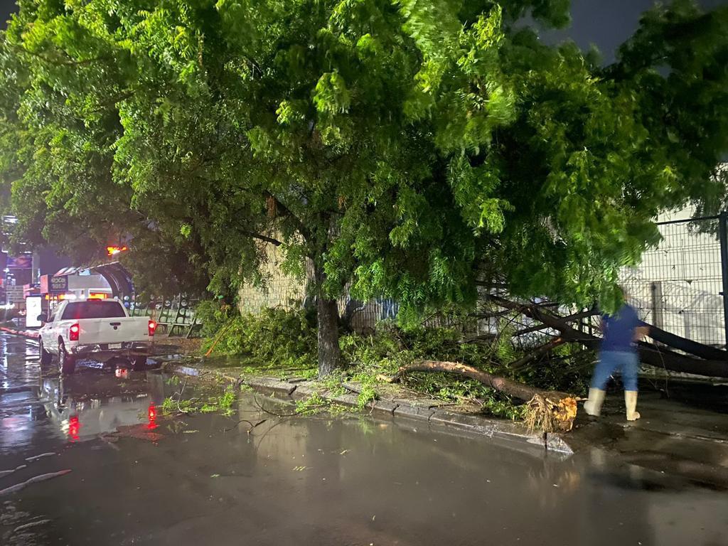 $!Lluvia deja seis carros varados, postes y árboles caídos en Culiacán