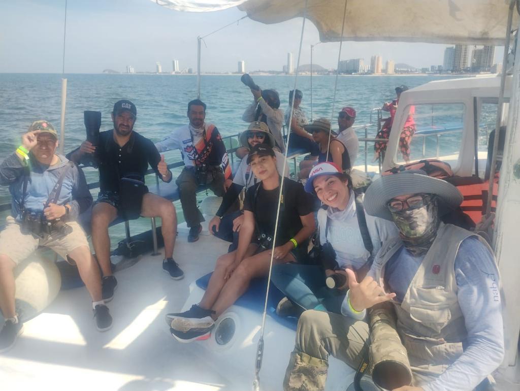 $!Mazatlán vuelve a destacar en el City Nature Challenge