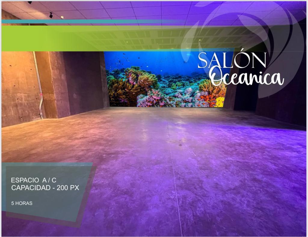 $!El nuevo Acuario de Mazatlán sí se rentará para eventos privados: Zerecero