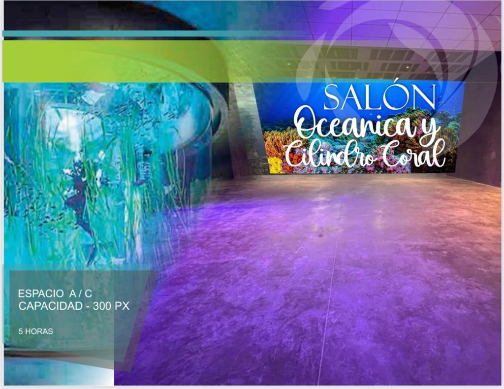 $!El nuevo Acuario de Mazatlán sí se rentará para eventos privados: Zerecero