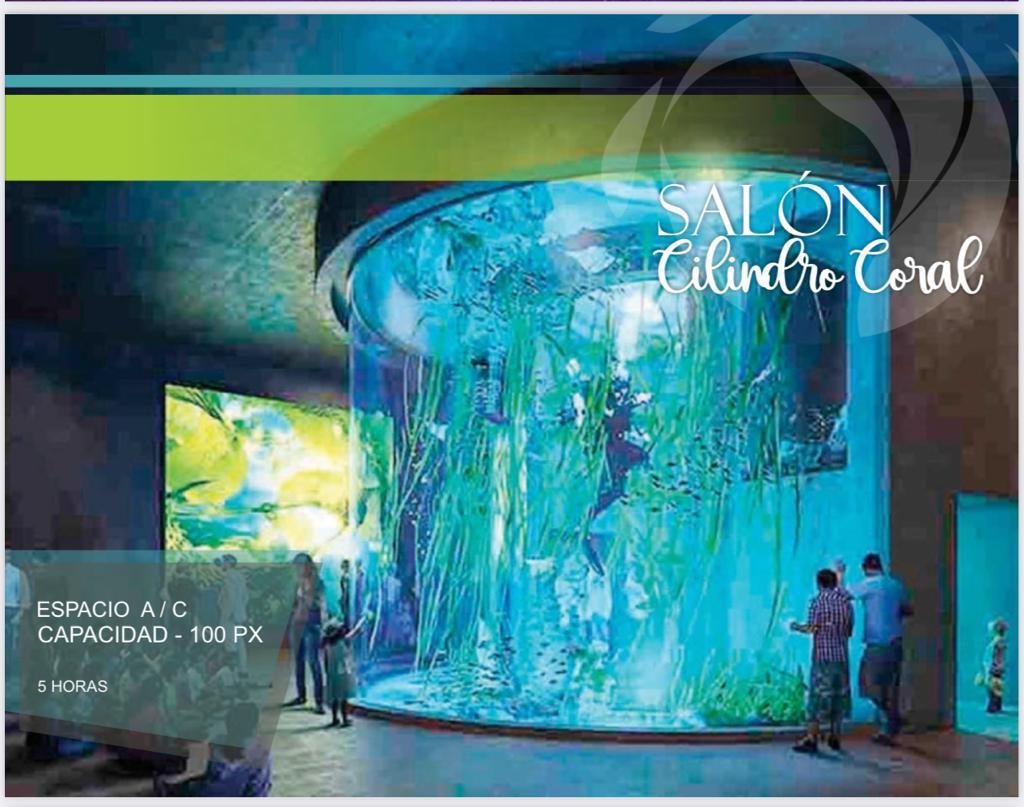 $!El nuevo Acuario de Mazatlán sí se rentará para eventos privados: Zerecero