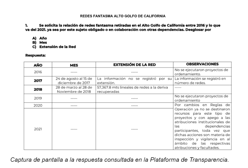 $!Gobierno de AMLO abandonó desde 2021 proyecto esencial para conservación de la vaquita marina
